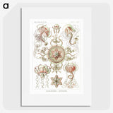 1-61_Ernst-Haeckel_picture