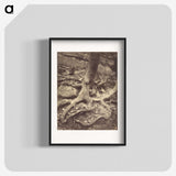 1-61_Eugene-Atget_blk