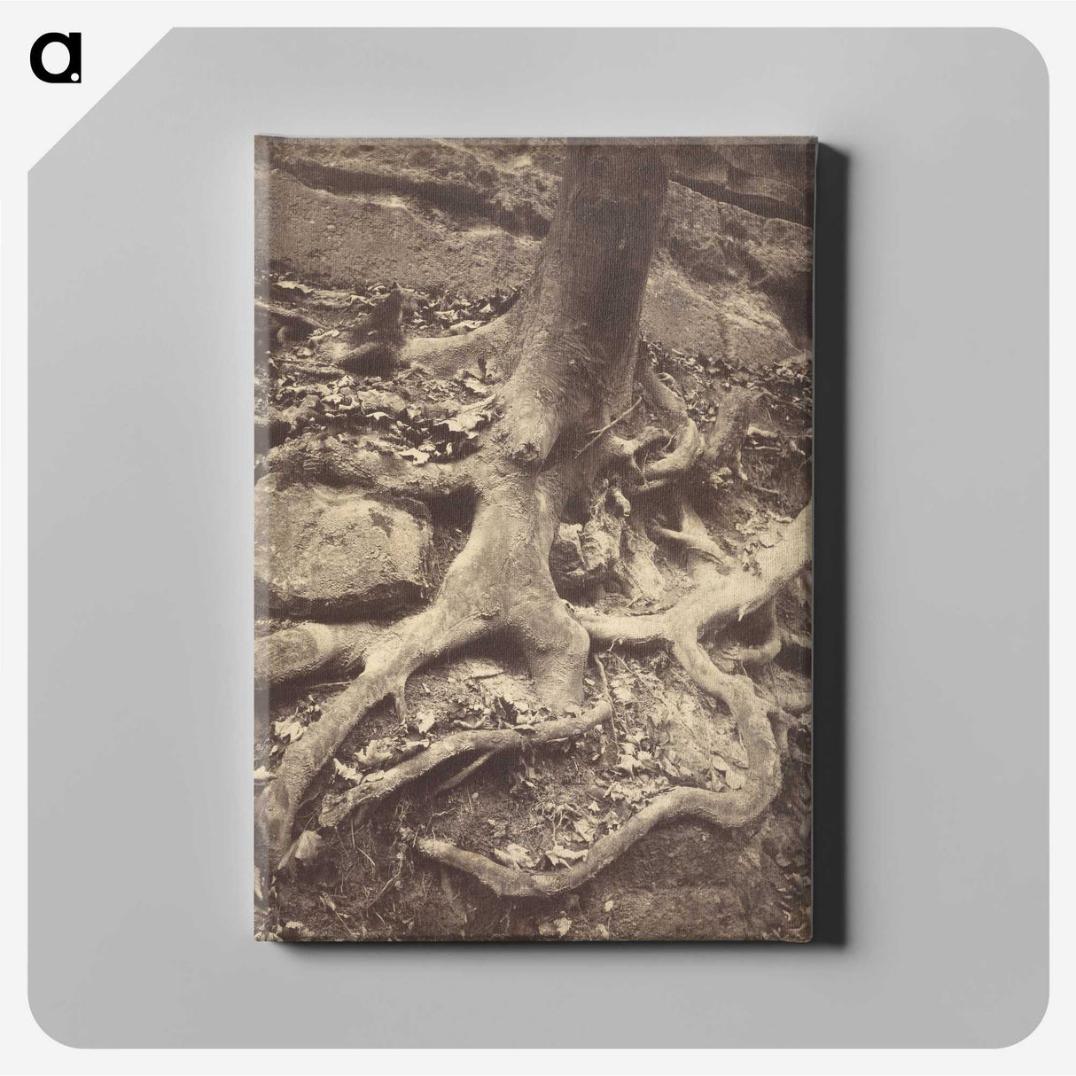 1-61_Eugene-Atget_canvas