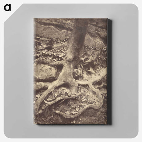 1-61_Eugene-Atget_canvas