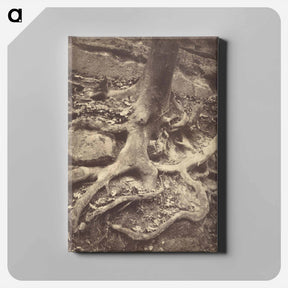 アートパネル-Saint-Cloud, Tree Roots
 - ウジェーヌ アジェ Canvas.