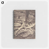 1-61_Eugene-Atget_memo