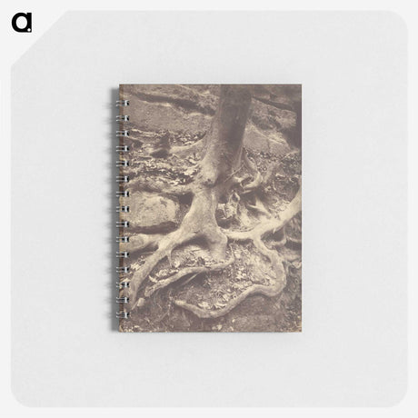 1-61_Eugene-Atget_memo