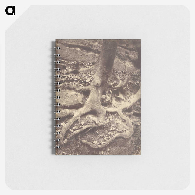1-61_Eugene-Atget_memo