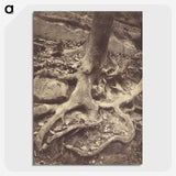1-61_Eugene-Atget_picture-crop