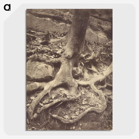 1-61_Eugene-Atget_picture-crop