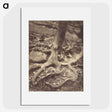 1-61_Eugene-Atget_picture