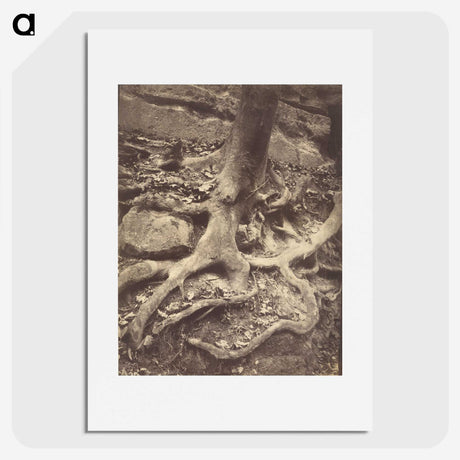 1-61_Eugene-Atget_picture