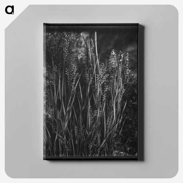 1-61_Frederick-Charles-Brockett_canvas