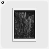1-61_Frederick-Charles-Brockett_hagaki