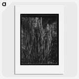 1-61_Frederick-Charles-Brockett_picture