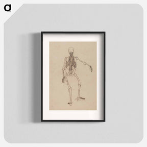 アートポスター-Human Skeleton, Posterior View
 - ジョージ スタッブス Poster.