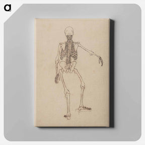 アートパネル-Human Skeleton, Posterior View
 - ジョージ スタッブス Canvas.