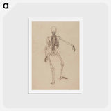 アートポストカード-Human Skeleton, Posterior View
 - ジョージ スタッブス Postcard.
