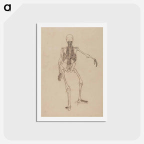 アートポストカード-Human Skeleton, Posterior View
 - ジョージ スタッブス Postcard.