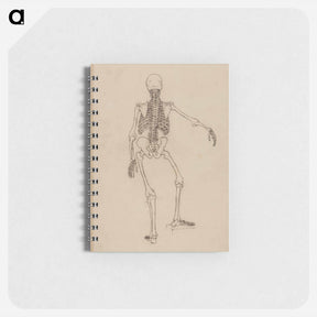 アートメモ帳-Human Skeleton, Posterior View
 - ジョージ スタッブス Memo.