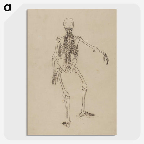 1-61_George-Stubbs_picture-crop