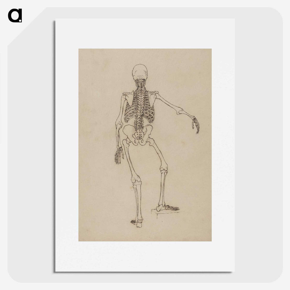 1-61_George-Stubbs_picture