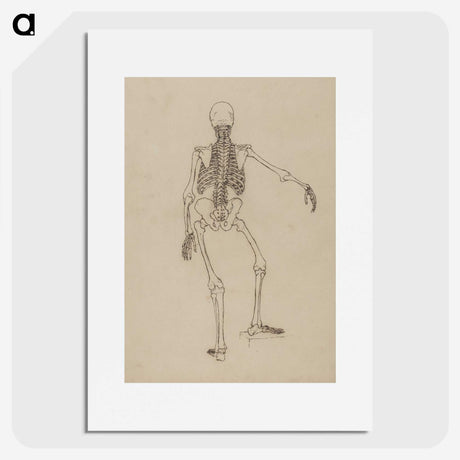 1-61_George-Stubbs_picture