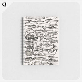アートメモ帳-Ichthyology
 - ゴールドスミスの生き生きとした自然 Memo.