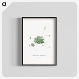 1-61_Histoire-des-Plantes-Grasses_blk