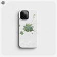 1-61_Histoire-des-Plantes-Grasses_phone