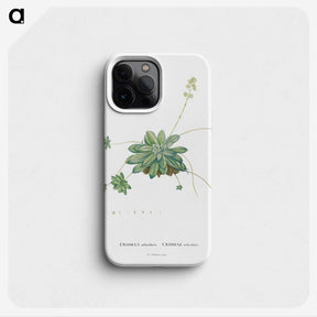 1-61_Histoire-des-Plantes-Grasses_phone