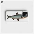 1-61_Ichtyologie-ou-Histoire-naturelle_phone