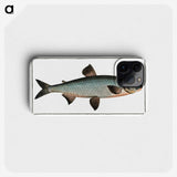 1-61_Ichtyologie-ou-Histoire-naturelle_phone
