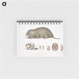 1-61_Indian-Zoology_memo