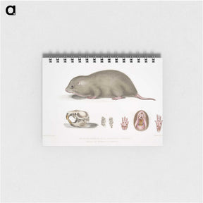 1-61_Indian-Zoology_memo