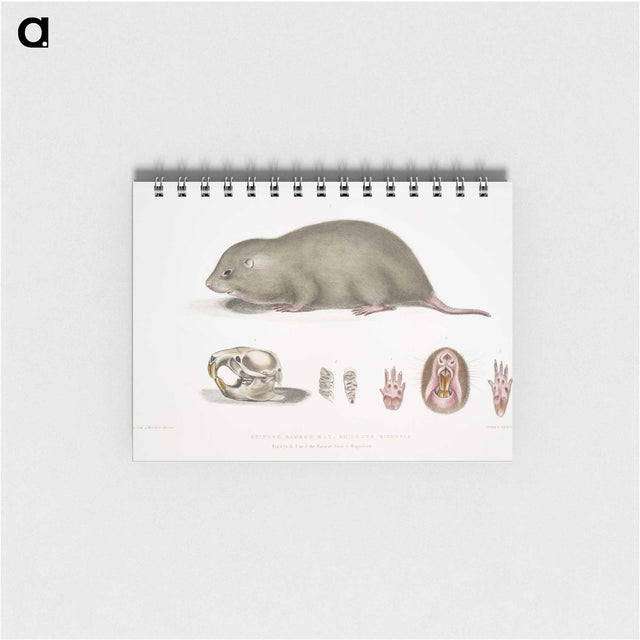 1-61_Indian-Zoology_memo