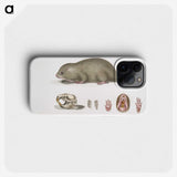 1-61_Indian-Zoology_phone