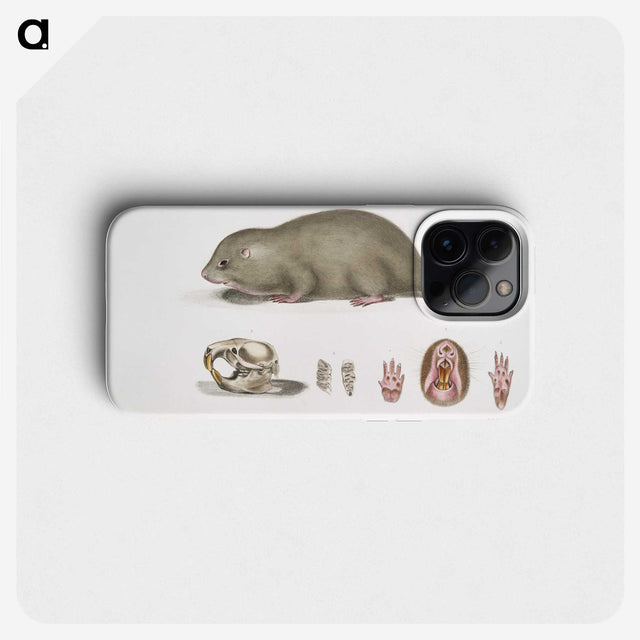 1-61_Indian-Zoology_phone