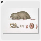 1-61_Indian-Zoology_picture-crop