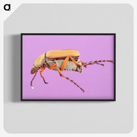 1-61_Insects-Unlocked-Project_blk-crop