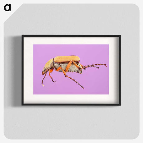 1-61_Insects-Unlocked-Project_blk