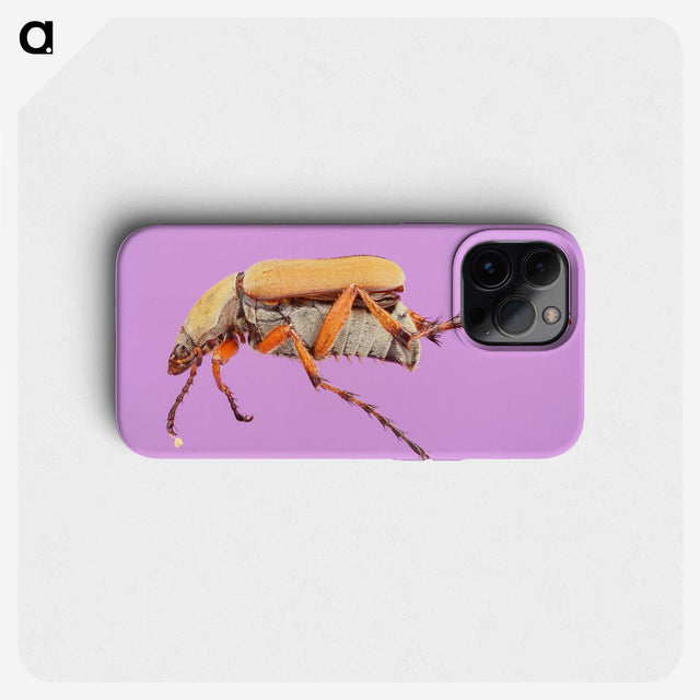 1-61_Insects-Unlocked-Project_phone