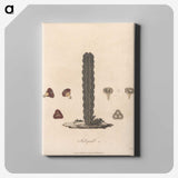 1-61_James-Heath_canvas