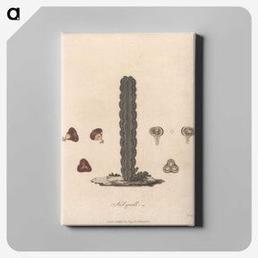 1-61_James-Heath_canvas