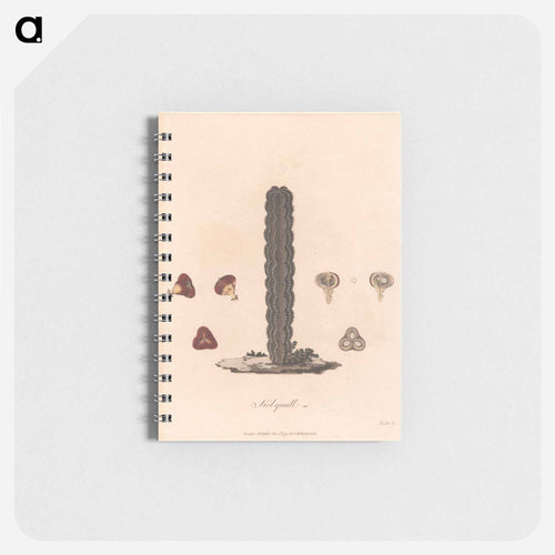 Kolquall
 - ジェームス ヒース Memo.