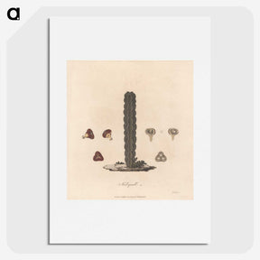 1-61_James-Heath_picture