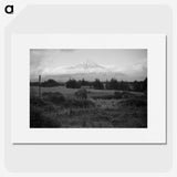 1-61_James-Walter-Chapman-Taylor_picture