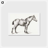 アートポストカード-Standing horse - ジャン ベルナール Postcard.