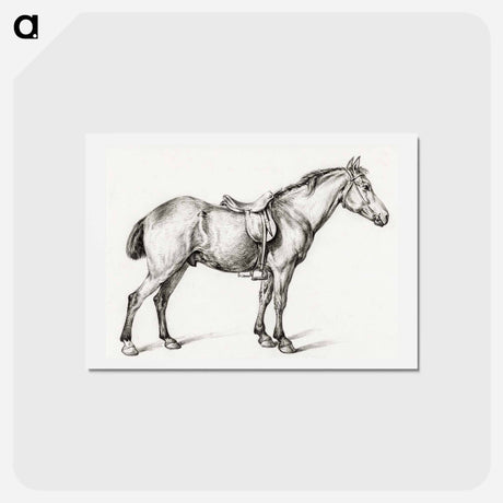 アートポストカード-Standing horse - ジャン ベルナール Postcard.
