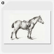 1-61_Jean-Bernard_picture