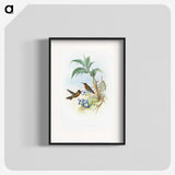 1-61_John-Gould_blk