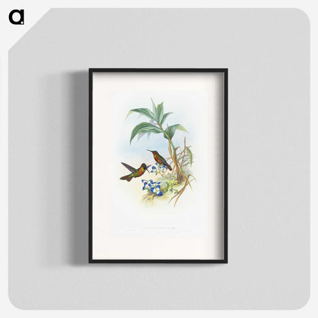1-61_John-Gould_blk