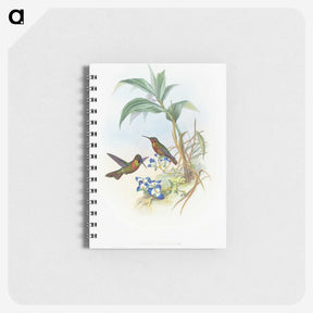 1-61_John-Gould_memo