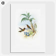 1-61_John-Gould_picture